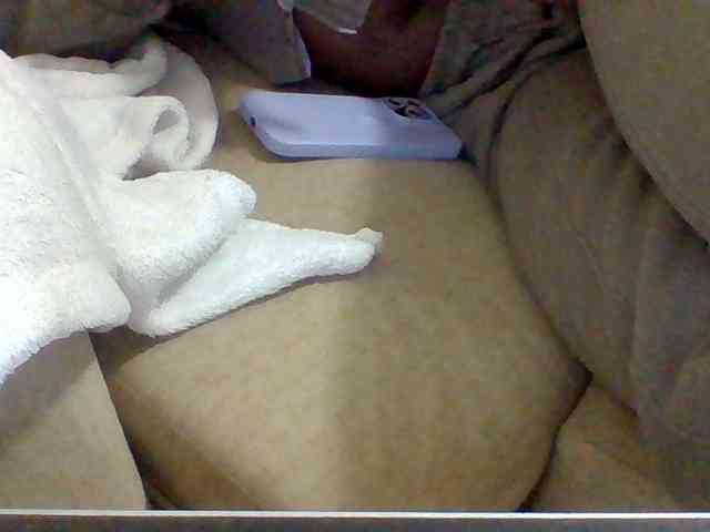 Dollie webcam