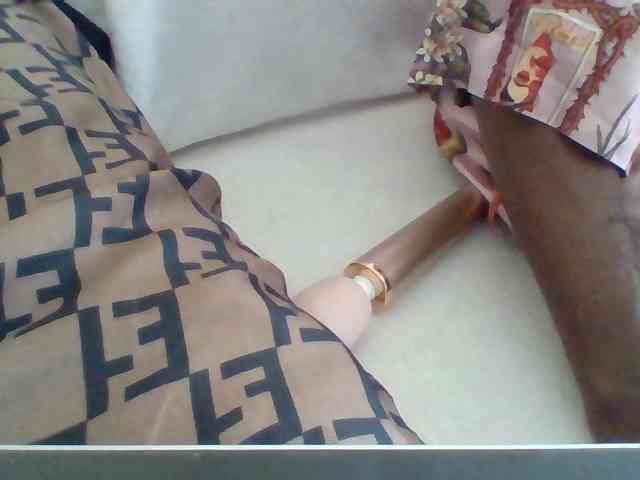 Dollie webcam