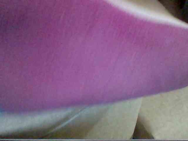 Dollie webcam