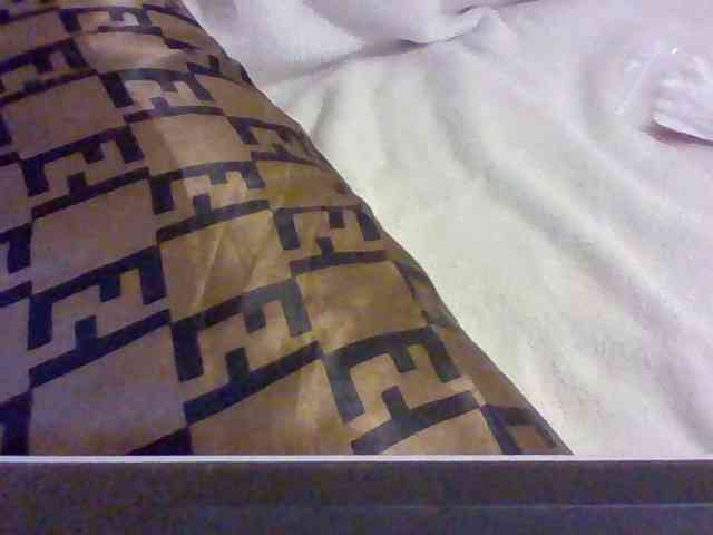 Dollie webcam