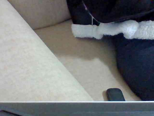 Dollie webcam