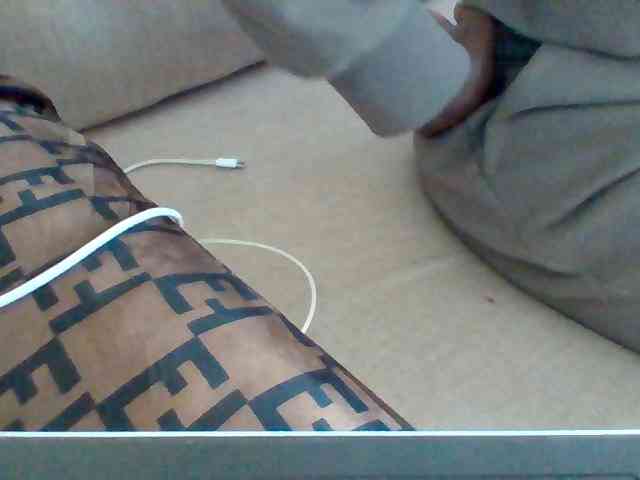 Dollie webcam