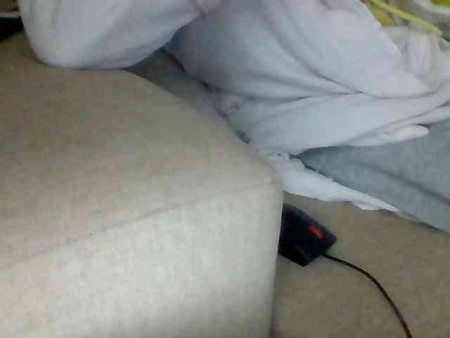Dollie webcam