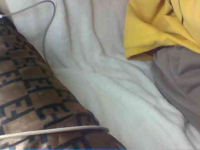 Dollie webcam