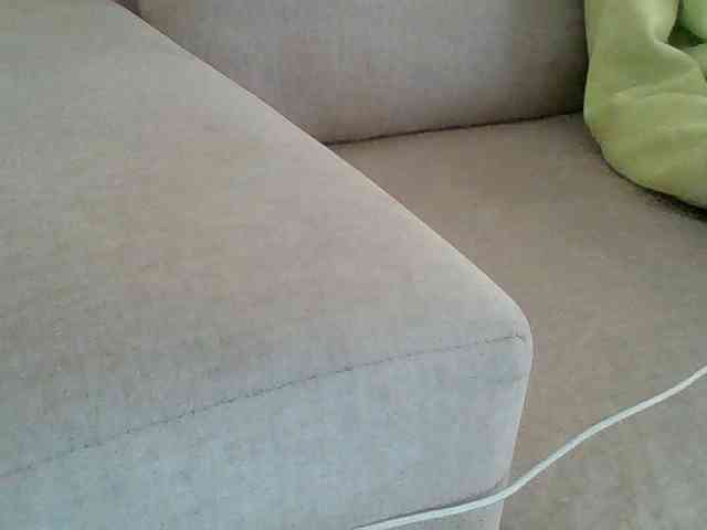Dollie webcam
