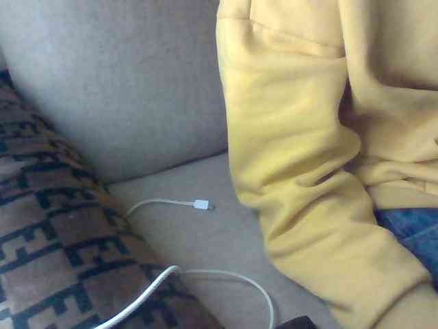 Dollie webcam