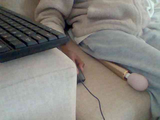 Dollie webcam