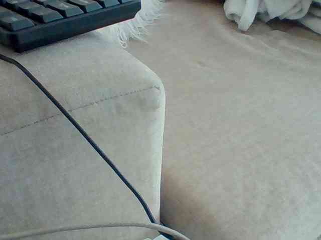 Dollie webcam