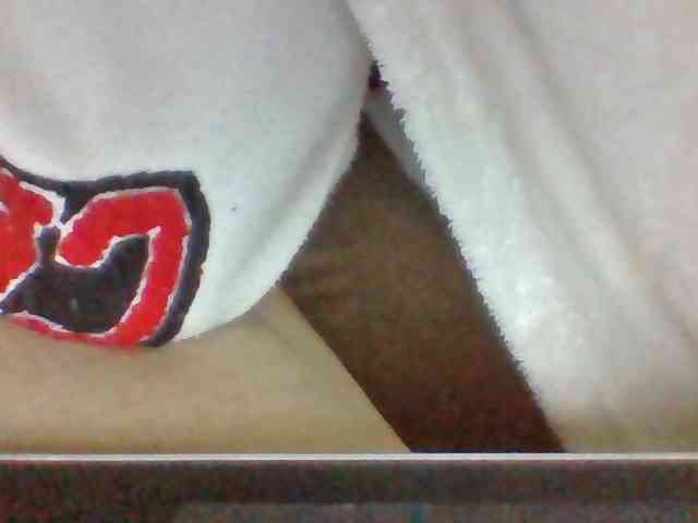 Dollie webcam