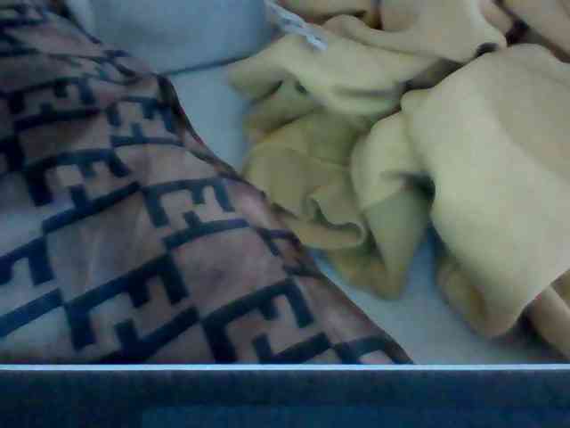 Dollie webcam