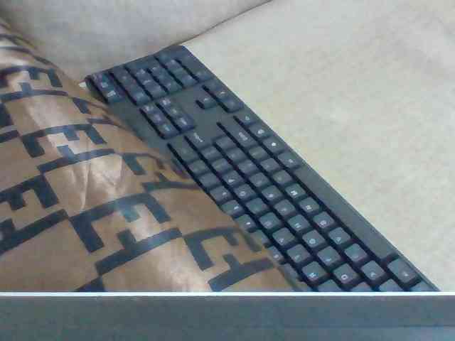 Dollie webcam