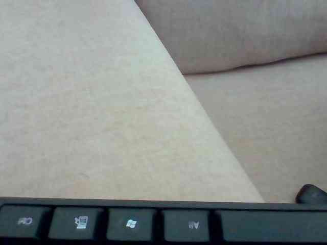 Dollie webcam
