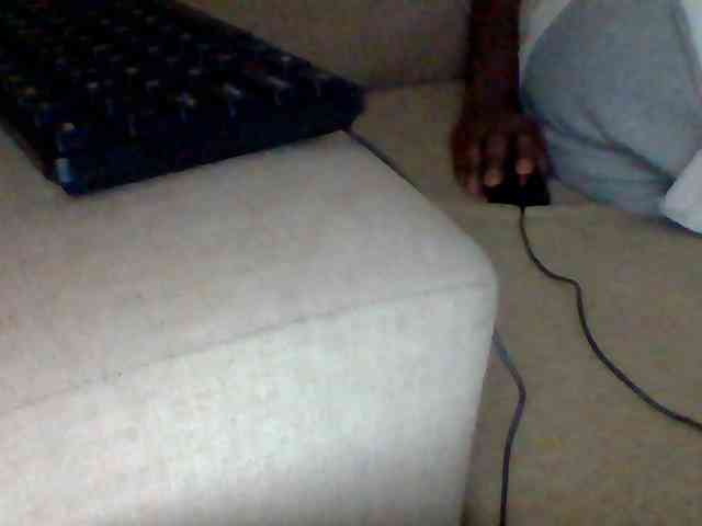 Dollie webcam