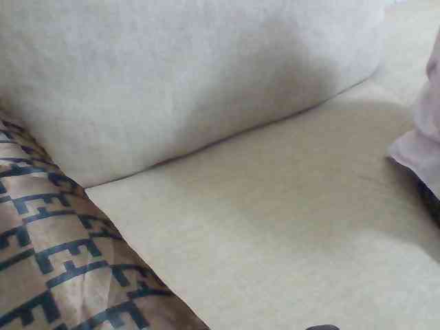 Dollie webcam