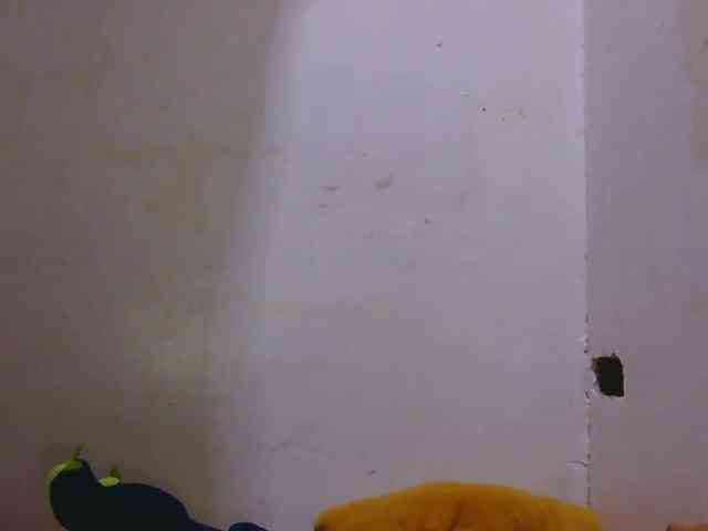 Pretty09 webcam