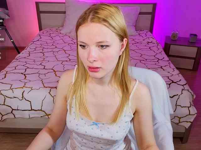 Brietdget webcam