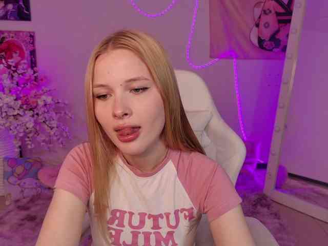 Brietdget webcam