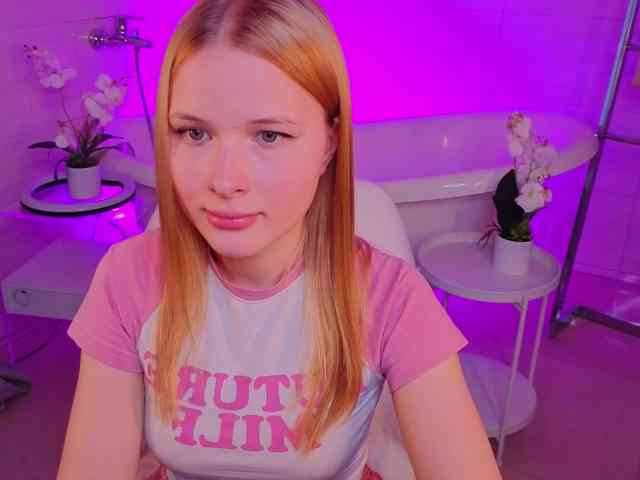 Brietdget webcam