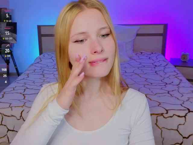 Brietdget webcam
