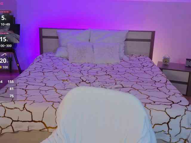Brietdget webcam