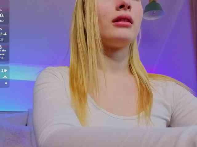 Brietdget webcam
