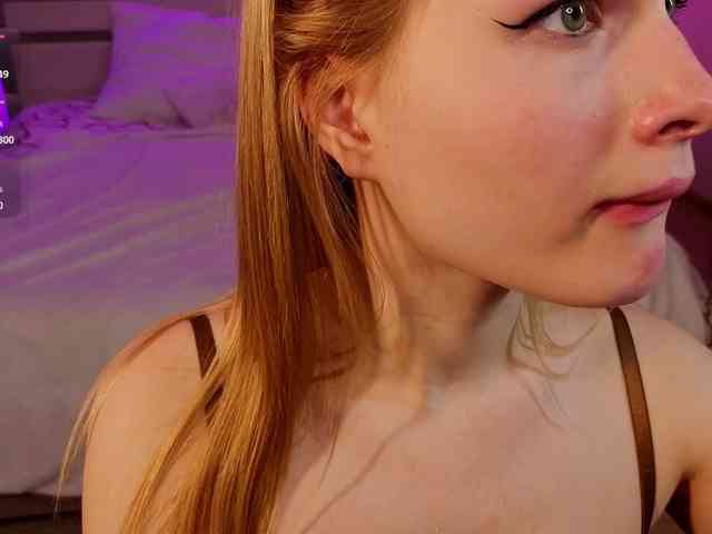 Brietdget webcam
