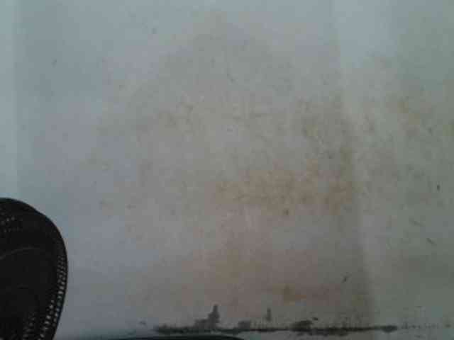 Creamyjuice webcam