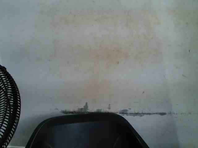 Creamyjuice webcam