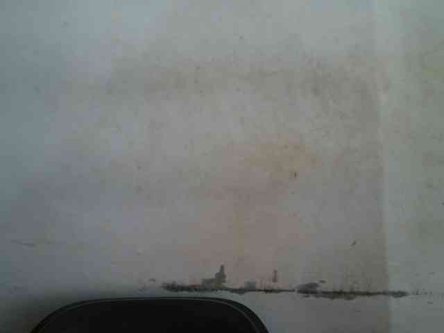 Creamyjuice webcam