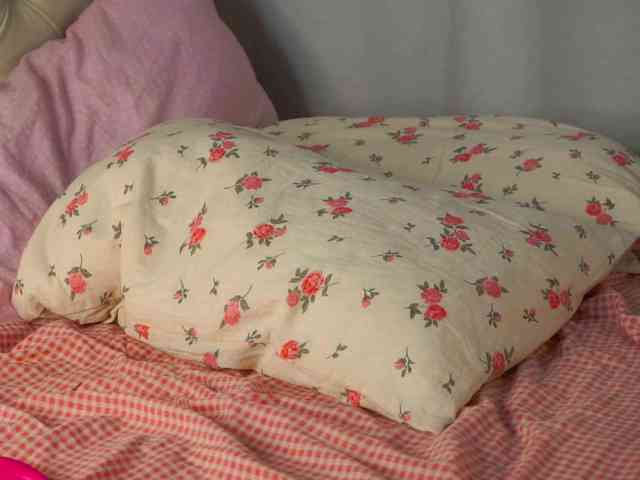 LunaLeez webcam