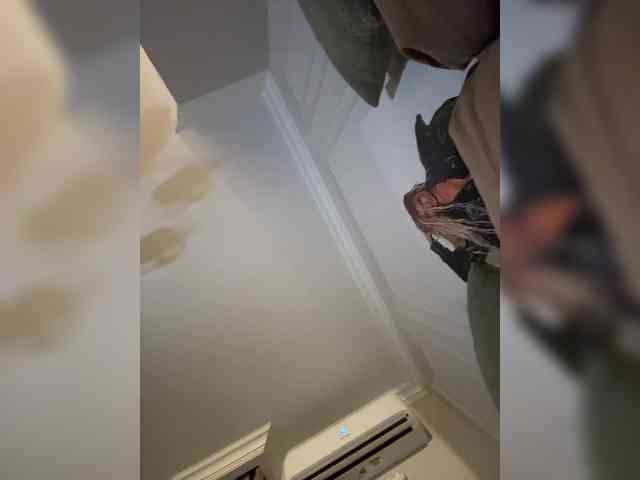 MariaMagdalena webcam