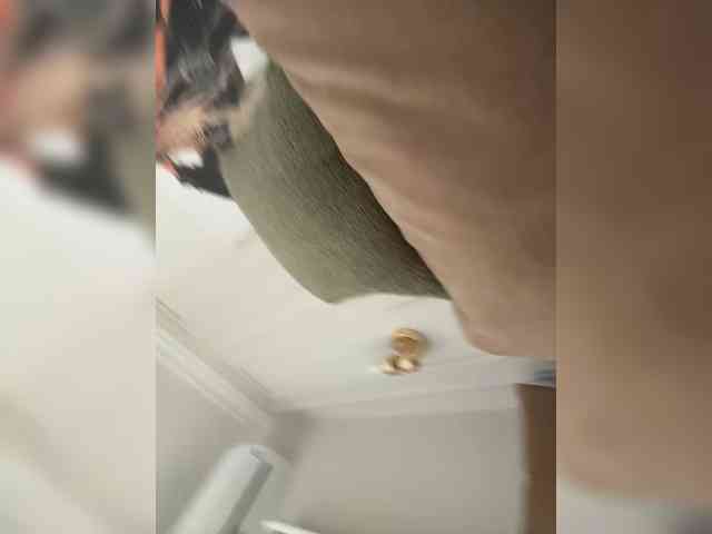 MariaMagdalena webcam