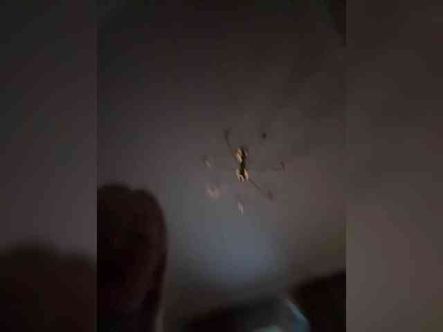 MariaMagdalena webcam