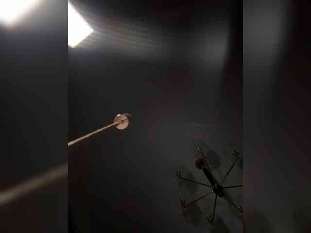 MariaMagdalena