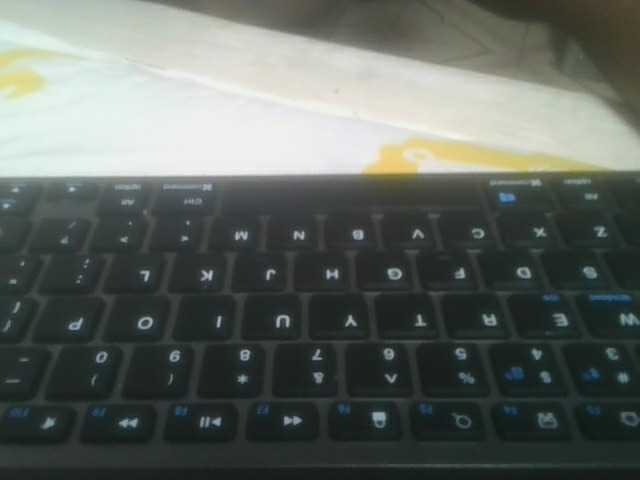 nudevelvet live cam on BongaCams