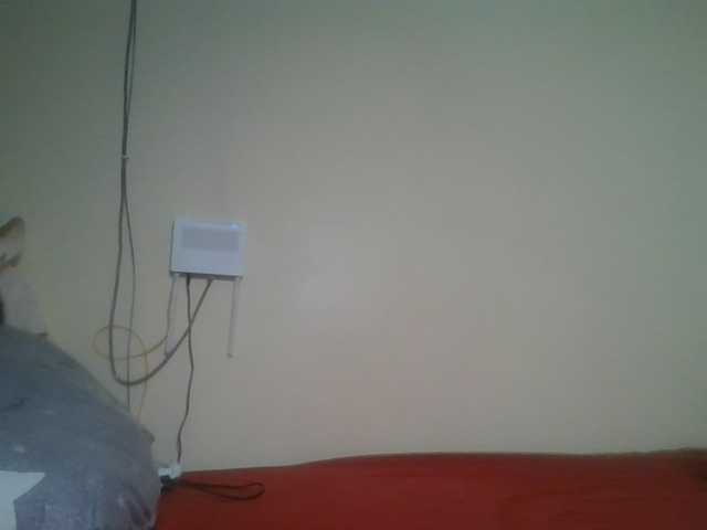 nudevelvet live cam on BongaCams