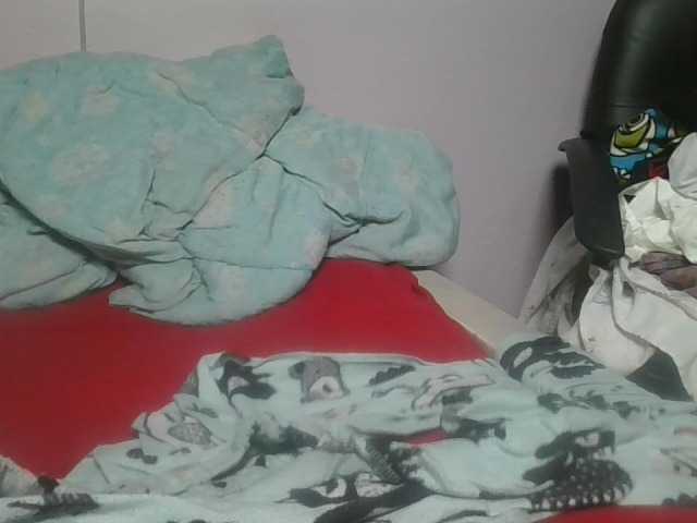 nudevelvet Прямой эфир на BongaCams