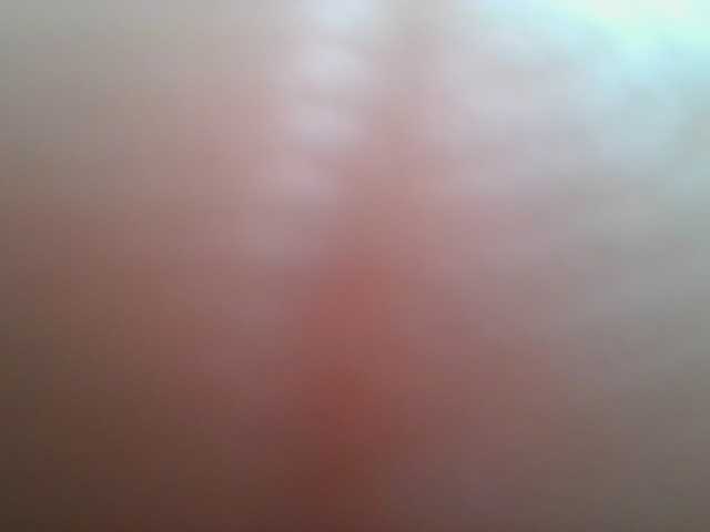 nudevelvet live cam on BongaCams