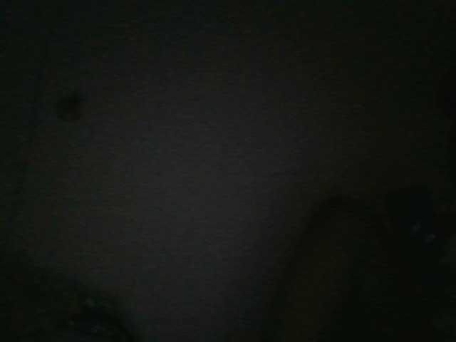 nudevelvet live cam on BongaCams