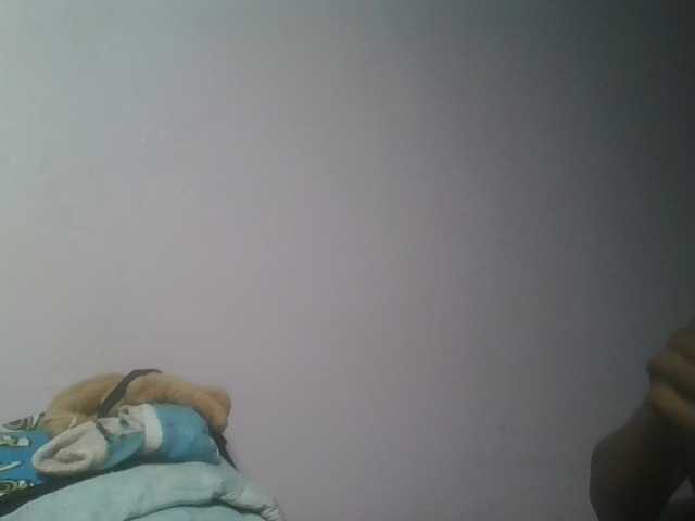nudevelvet live cam on BongaCams