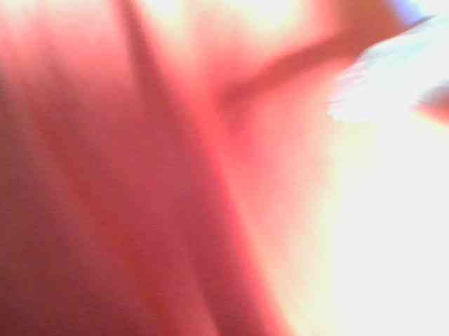 nudevelvet webcam