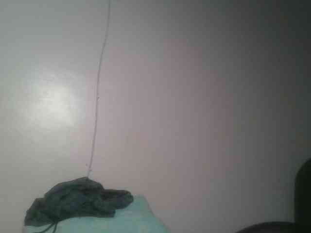 nudevelvet webcam