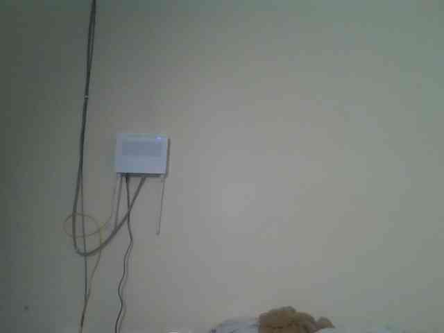 nudevelvet webcam