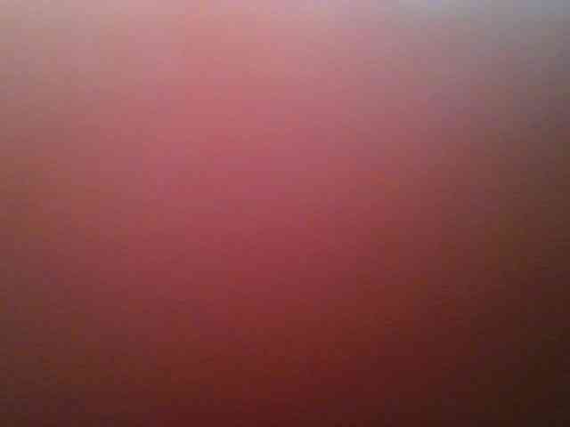 nudevelvet webcam