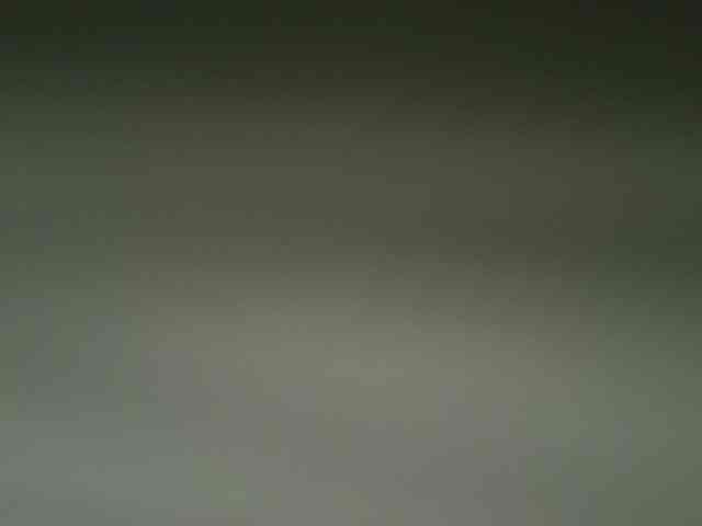 nudevelvet webcam