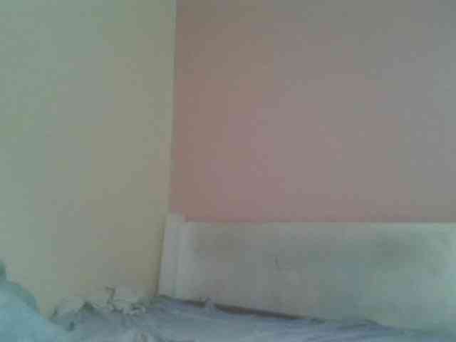 nudevelvet webcam