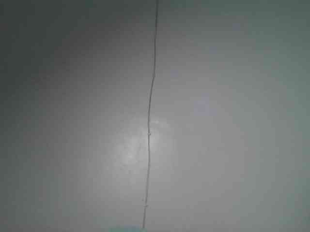 nudevelvet webcam