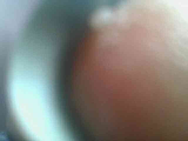 nudevelvet webcam