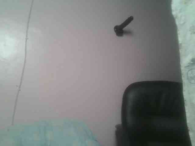 nudevelvet webcam