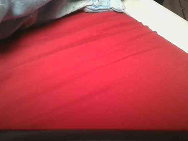 nudevelvet webcam